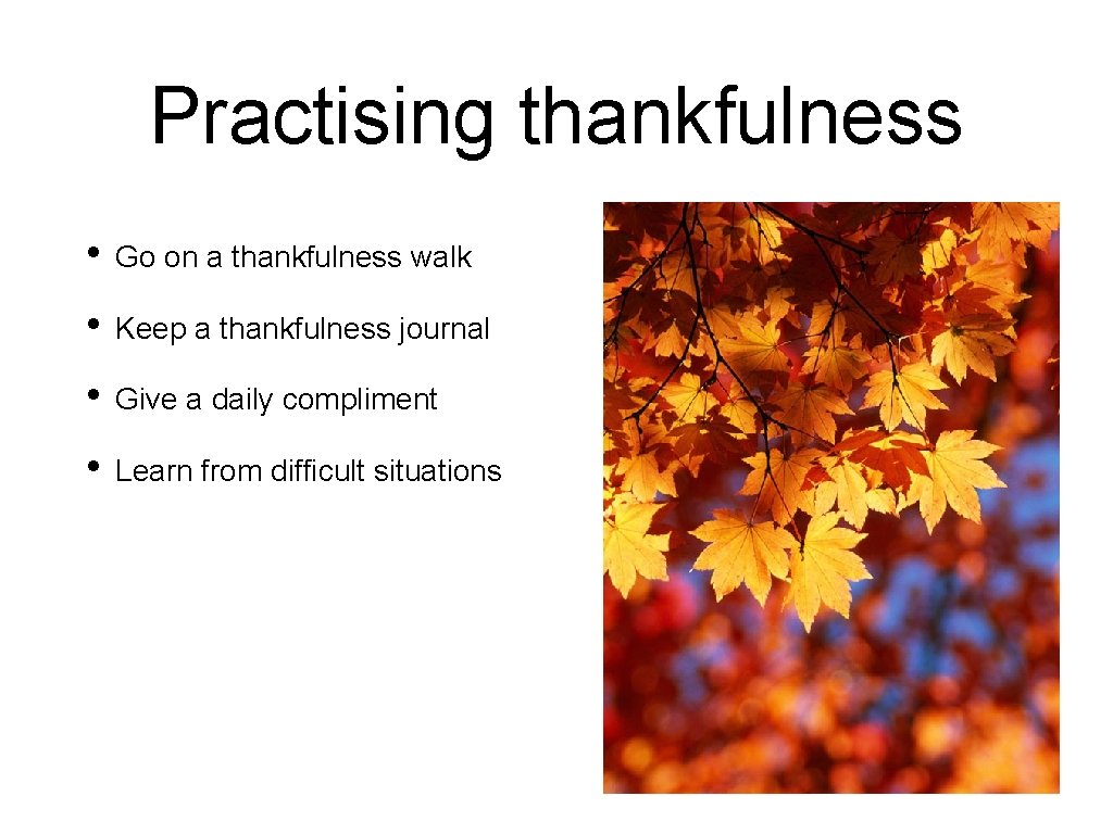 Practising thankfulness • Go on a thankfulness walk • Keep a thankfulness journal •