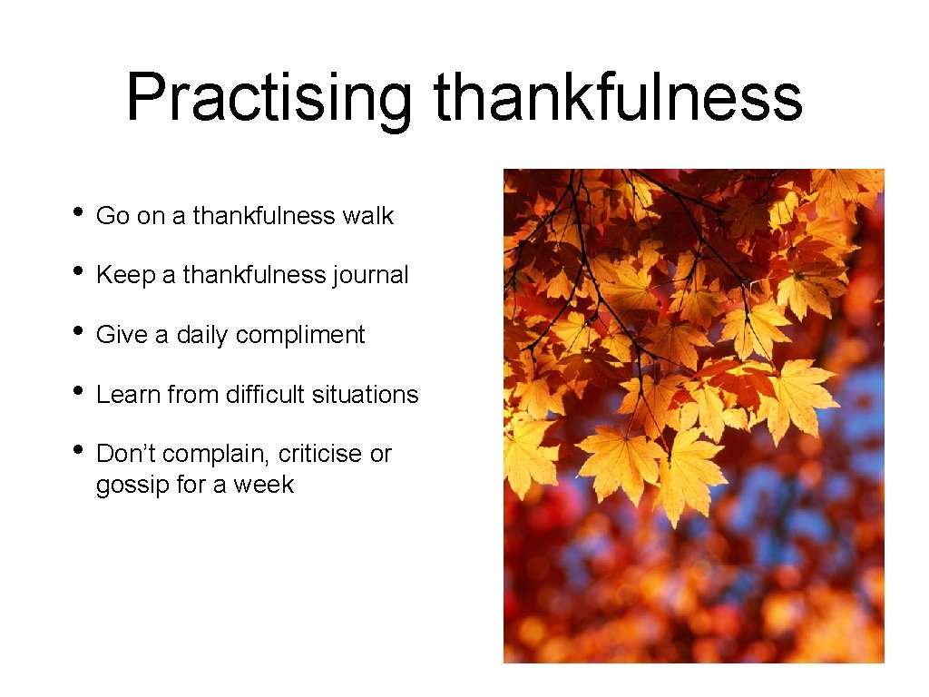 Practising thankfulness • Go on a thankfulness walk • Keep a thankfulness journal •