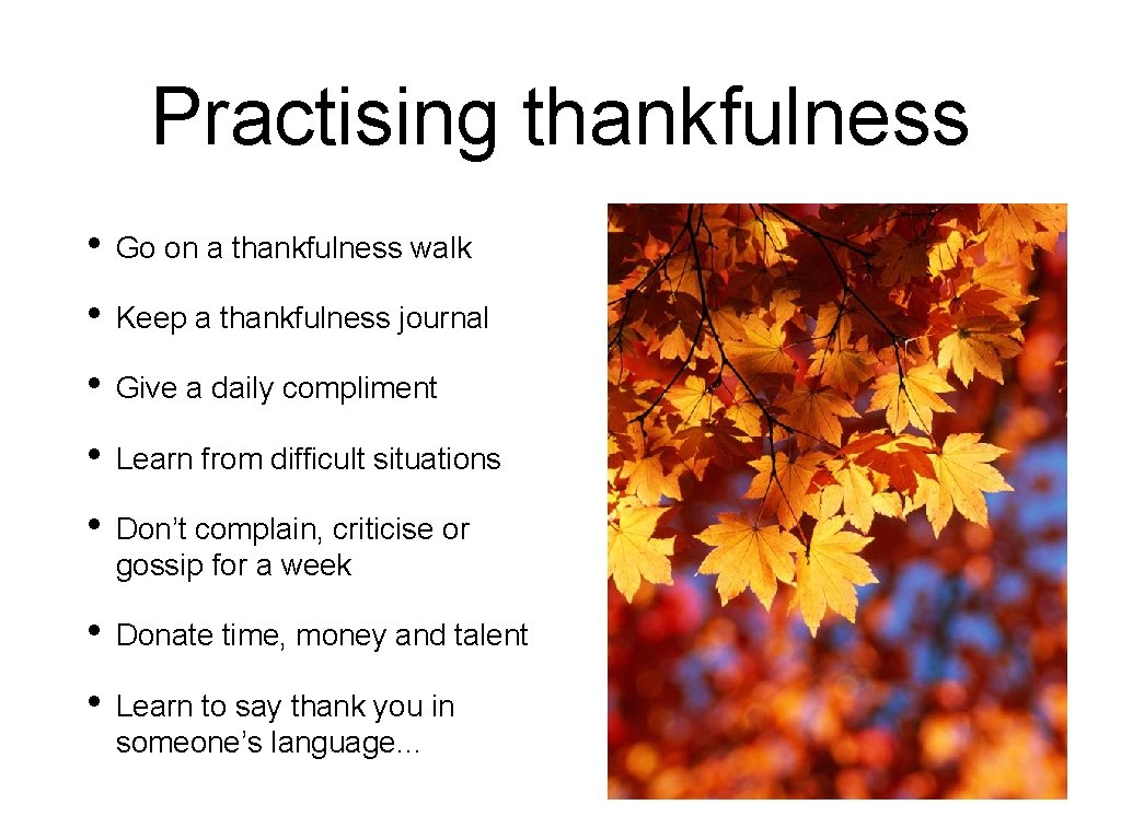 Practising thankfulness • Go on a thankfulness walk • Keep a thankfulness journal •