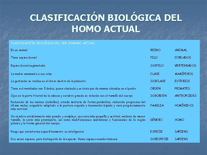 CLASIFICACIÓN BIOLÓGICA DEL HOMO ACTUAL CLASIFICACIÓN BIOLÓGICA DEL SER HUMANO ACTUAL Es un animal