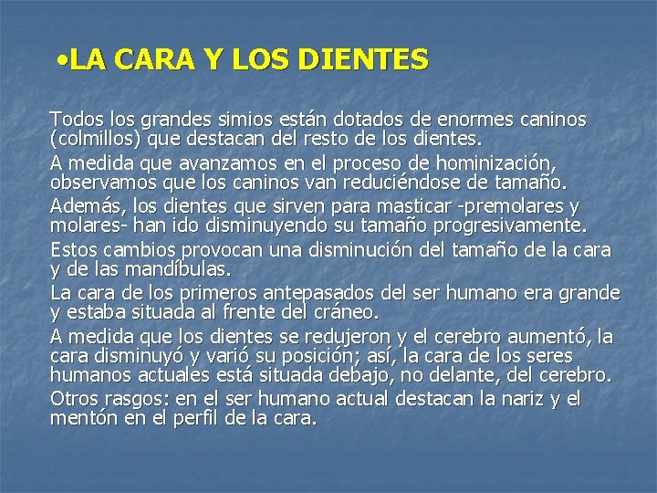  • LA CARA Y LOS DIENTES Todos los grandes simios están dotados de