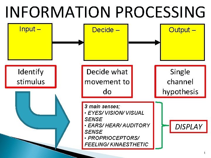 INFORMATION PROCESSING Input – Decide – Output – Identify stimulus Decide what movement to