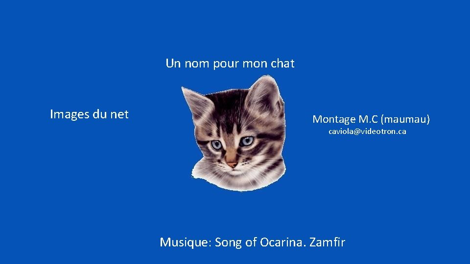 Un nom pour mon chat Images du net Montage M. C (maumau) caviola@videotron. ca
