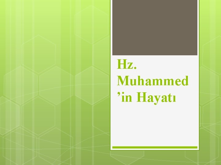 Hz. Muhammed ’in Hayatı 