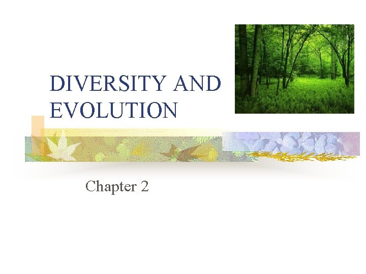 DIVERSITY AND EVOLUTION Chapter 2 