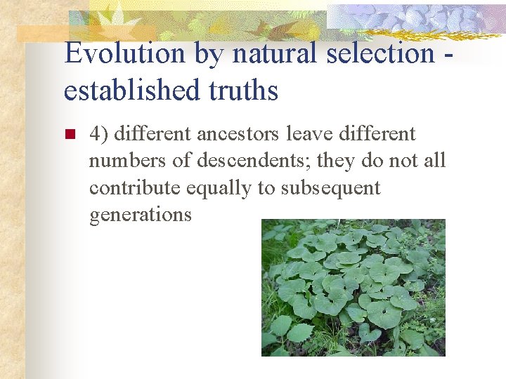 Evolution by natural selection established truths n 4) different ancestors leave different numbers of