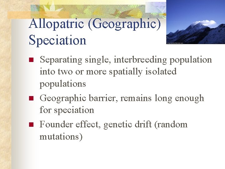 Allopatric (Geographic) Speciation n Separating single, interbreeding population into two or more spatially isolated