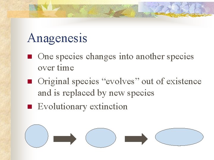 Anagenesis n n n One species changes into another species over time Original species