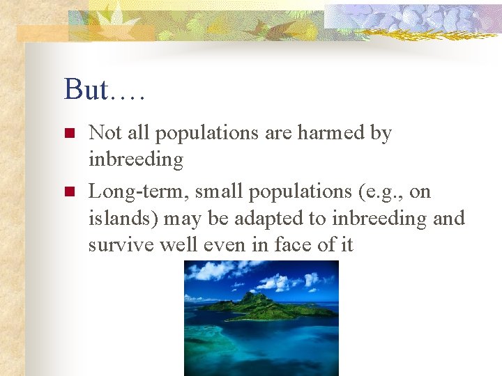 But…. n n Not all populations are harmed by inbreeding Long-term, small populations (e.