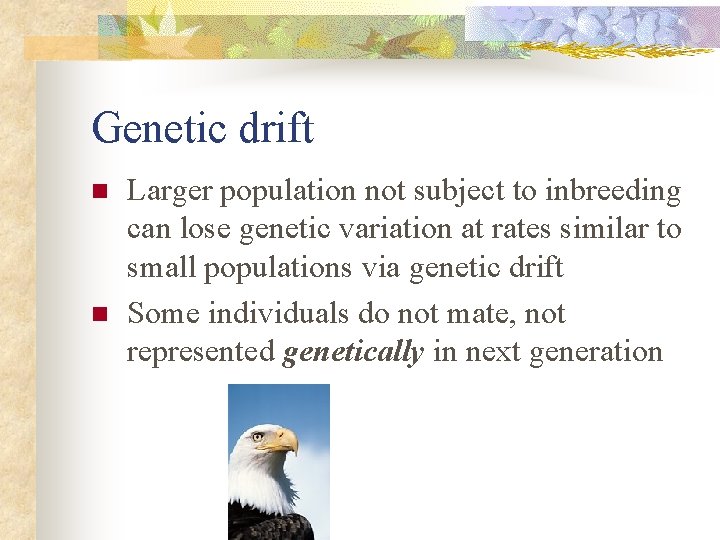 Genetic drift n n Larger population not subject to inbreeding can lose genetic variation