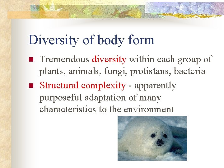 Diversity of body form n n Tremendous diversity within each group of plants, animals,