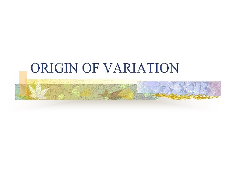 ORIGIN OF VARIATION 