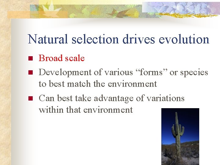 Natural selection drives evolution n Broad scale Development of various “forms” or species to