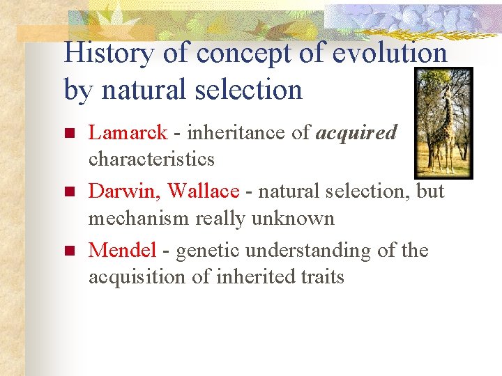 History of concept of evolution by natural selection n Lamarck - inheritance of acquired