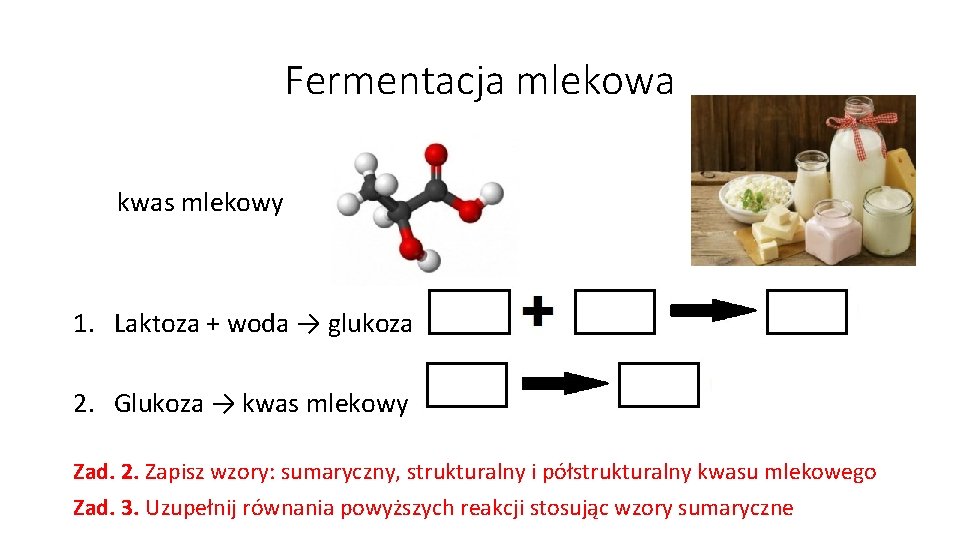 Fermentacja mlekowa kwas mlekowy 1. Laktoza + woda → glukoza 2. Glukoza → kwas