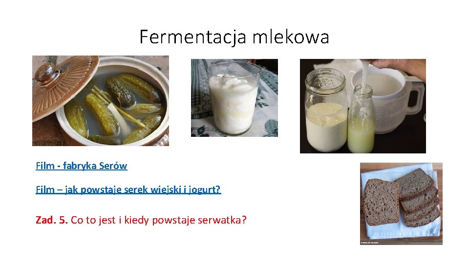 Fermentacja mlekowa Film - fabryka Serów Film – jak powstaje serek wiejski i jogurt?