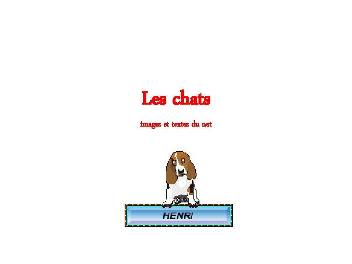 Les chats images et textes du net 