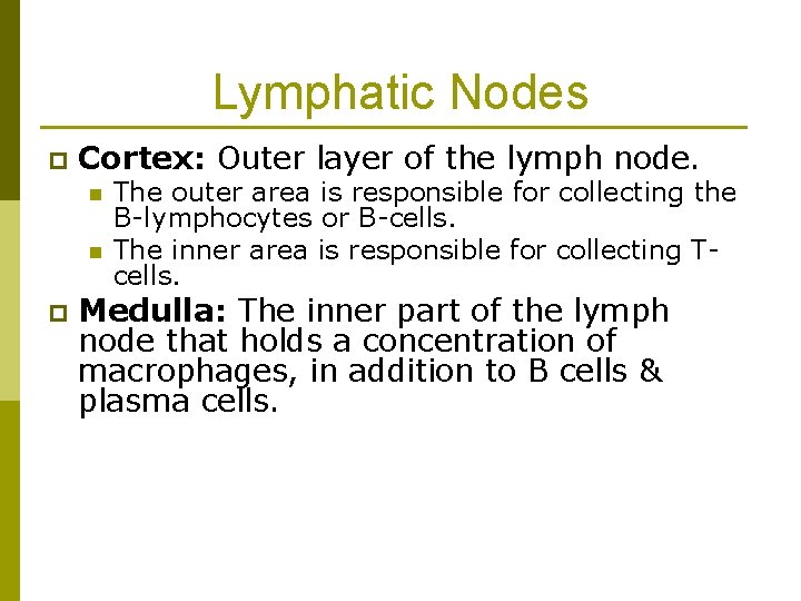 Lymphatic Nodes p Cortex: Outer layer of the lymph node. n n p The