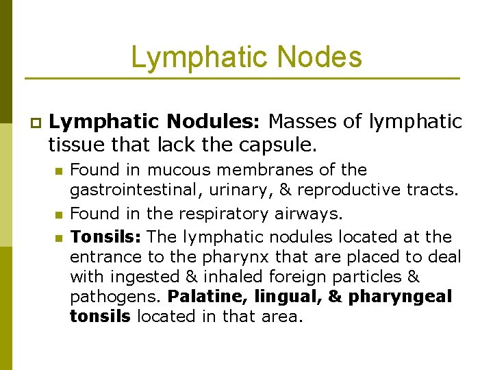 Lymphatic Nodes p Lymphatic Nodules: Masses of lymphatic tissue that lack the capsule. n