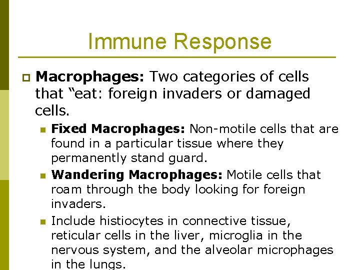 Immune Response p Macrophages: Two categories of cells that “eat: foreign invaders or damaged