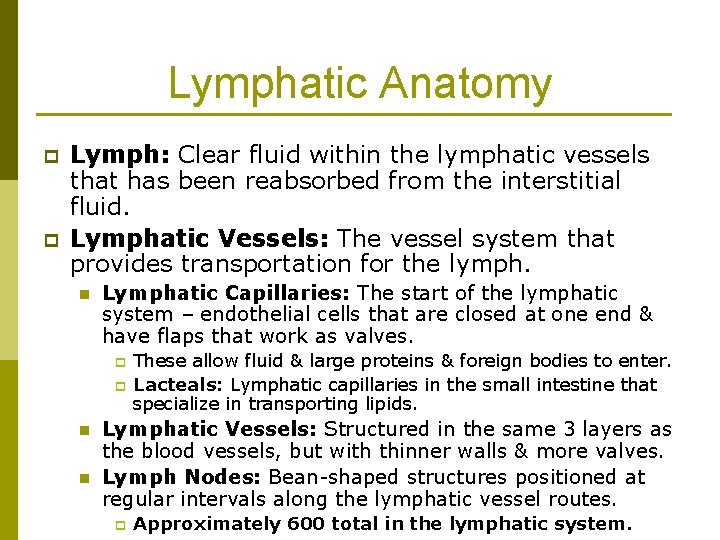 Lymphatic Anatomy p p Lymph: Clear fluid within the lymphatic vessels that has been