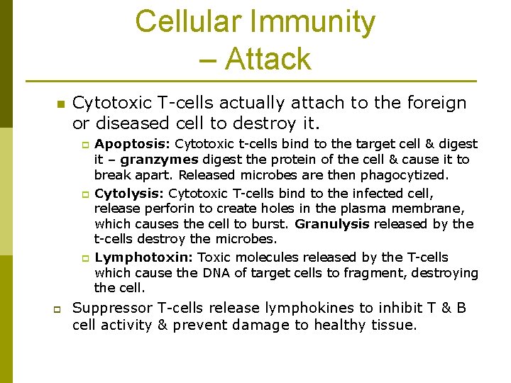 Cellular Immunity – Attack n Cytotoxic T-cells actually attach to the foreign or diseased