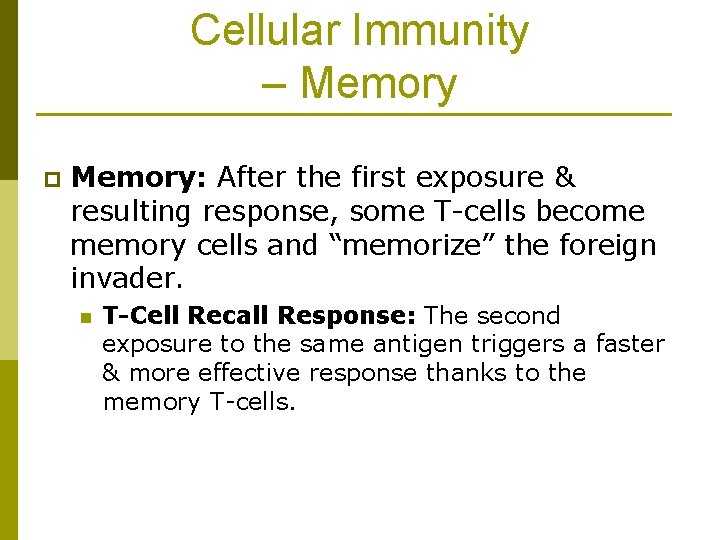 Cellular Immunity – Memory p Memory: After the first exposure & resulting response, some