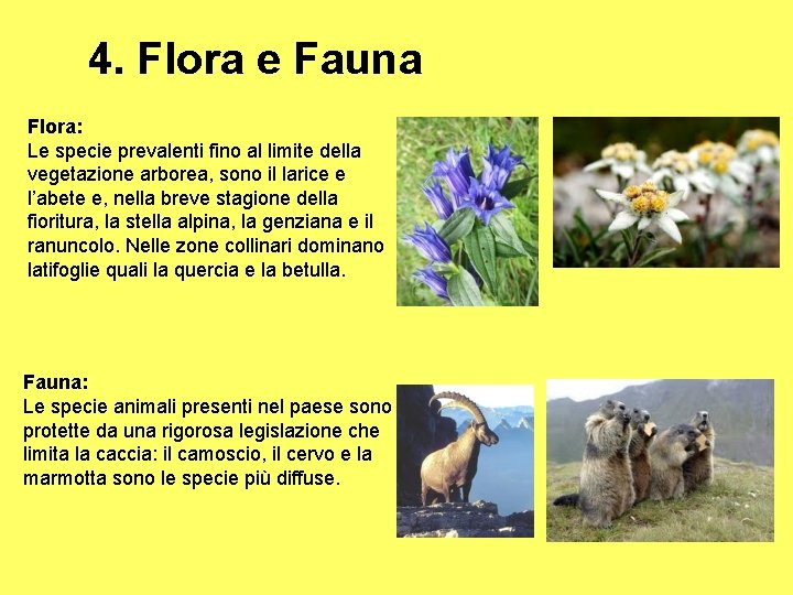 4. Flora e Fauna Flora: Le specie prevalenti fino al limite della vegetazione arborea,