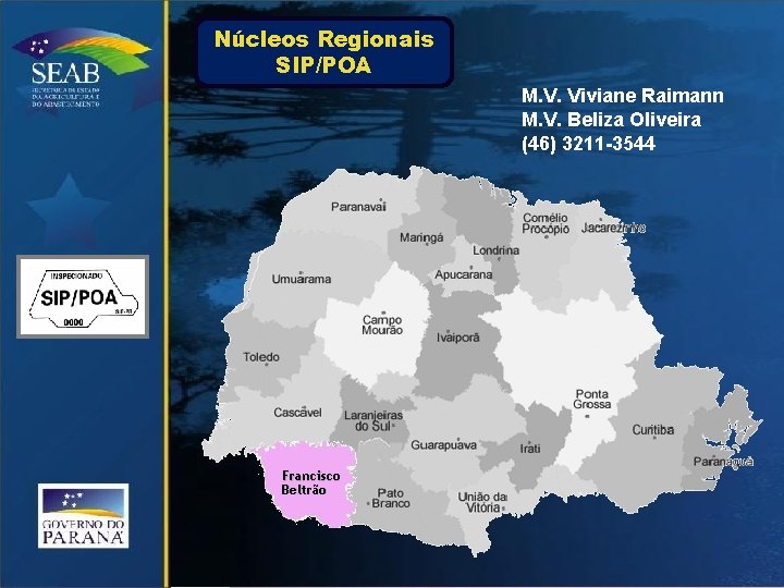 Núcleos Regionais SIP/POA M. V. Viviane Raimann M. V. Beliza Oliveira (46) 3211 -3544