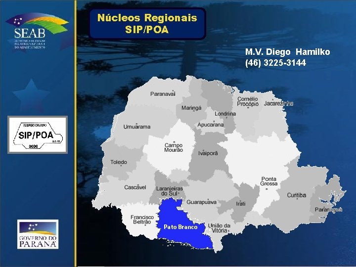 Núcleos Regionais SIP/POA M. V. Diego Hamilko (46) 3225 -3144 Pato Branco 