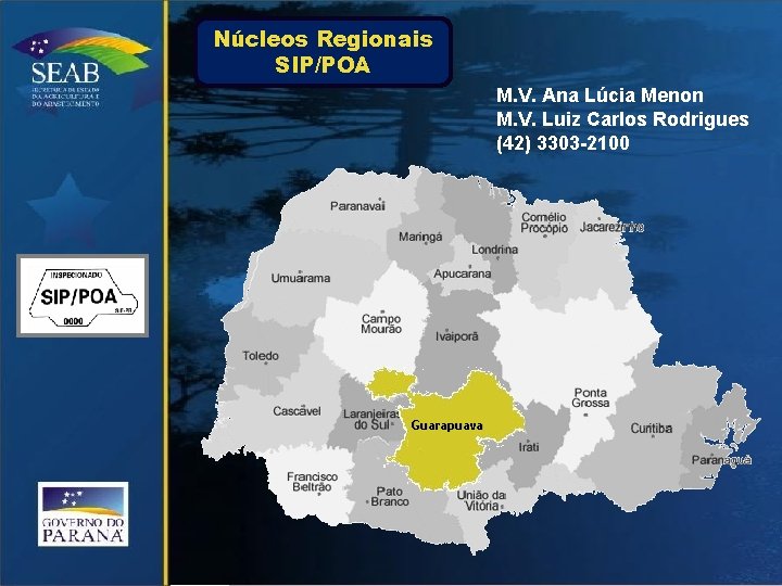 Núcleos Regionais SIP/POA M. V. Ana Lúcia Menon M. V. Luiz Carlos Rodrigues (42)