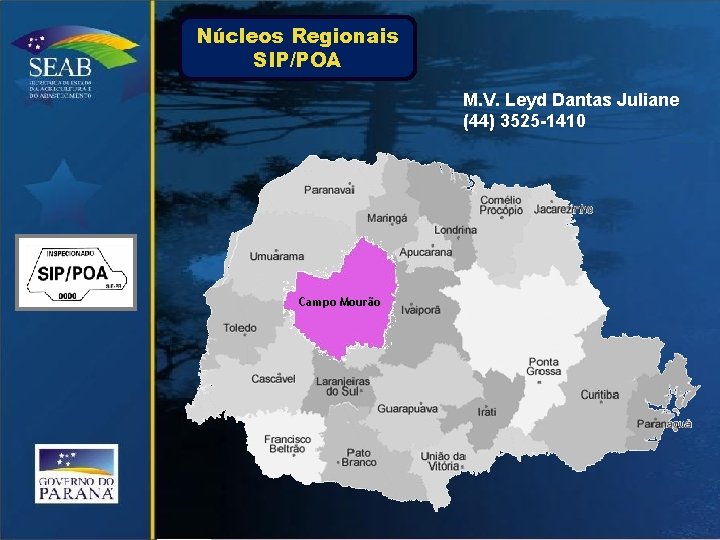 Núcleos Regionais SIP/POA M. V. Leyd Dantas Juliane (44) 3525 -1410 Campo Mourão 