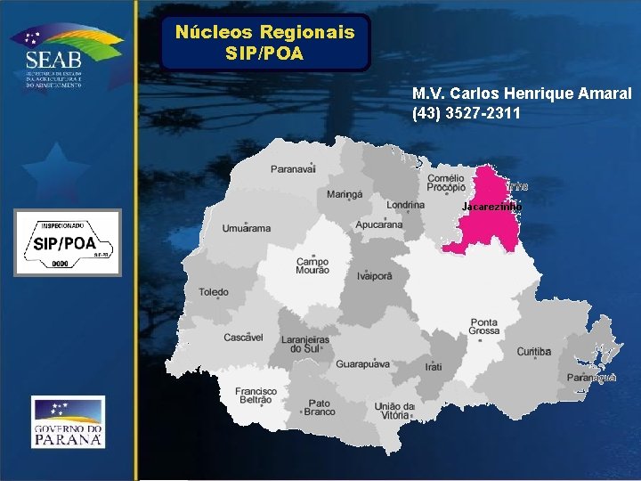 Núcleos Regionais SIP/POA M. V. Carlos Henrique Amaral (43) 3527 -2311 Jacarezinho 