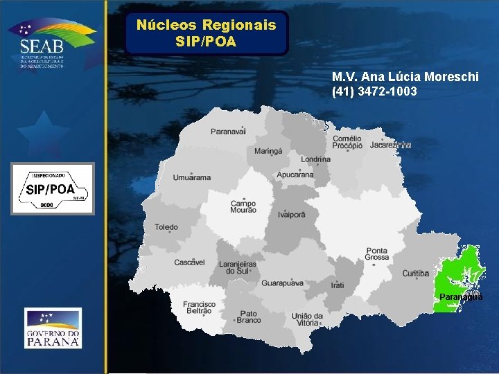 Núcleos Regionais SIP/POA M. V. Ana Lúcia Moreschi (41) 3472 -1003 Paranaguá 