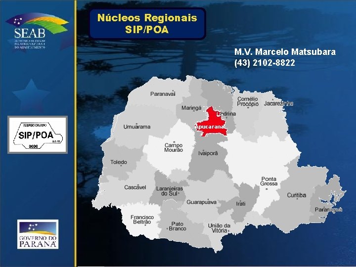 Núcleos Regionais SIP/POA M. V. Marcelo Matsubara (43) 2102 -8822 Apucarana 