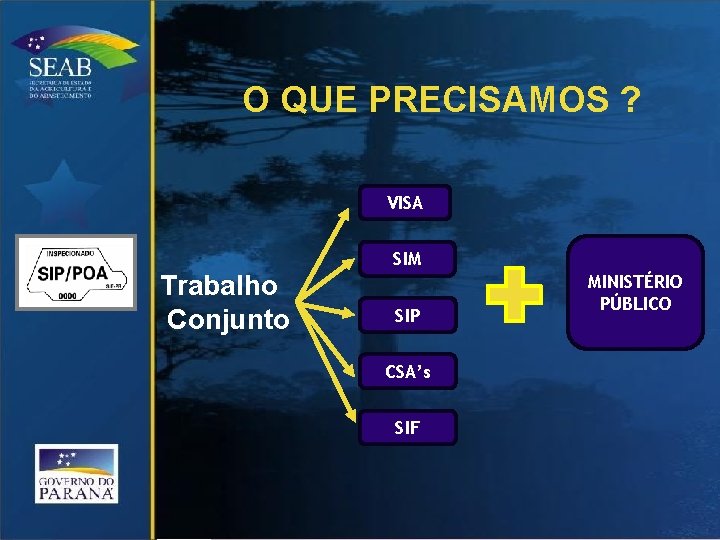 O QUE PRECISAMOS ? VISA SIM Trabalho Conjunto SIP CSA’s SIF MINISTÉRIO PÚBLICO 