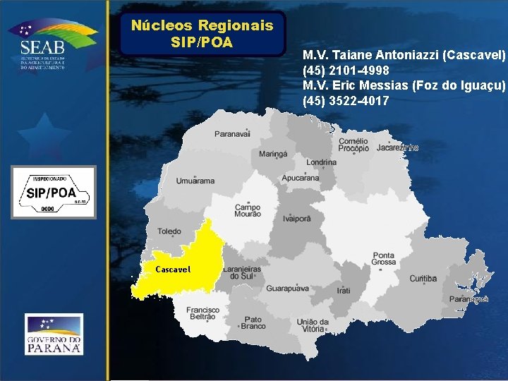 Núcleos Regionais SIP/POA Cascavel M. V. Taiane Antoniazzi (Cascavel) (45) 2101 -4998 M. V.