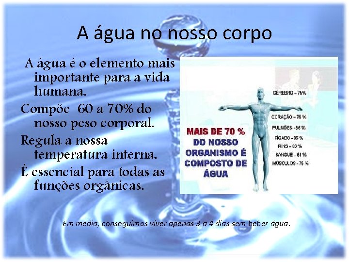 A água no nosso corpo A água é o elemento mais importante para a A água no nosso corpo A água é o elemento mais importante para a