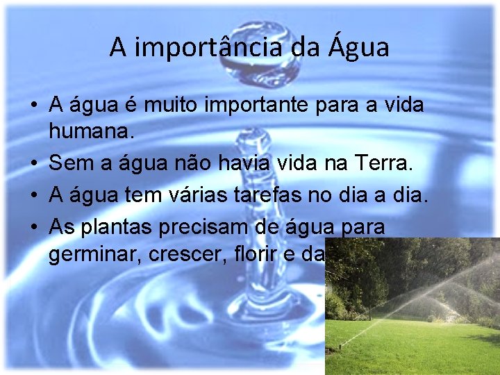 A importância da Água • A água é muito importante para a vida humana. A importância da Água • A água é muito importante para a vida humana.