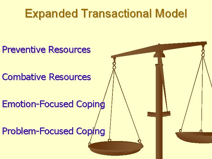 Expanded Transactional Model Preventive Resources Combative Resources Emotion-Focused Coping Problem-Focused Coping 