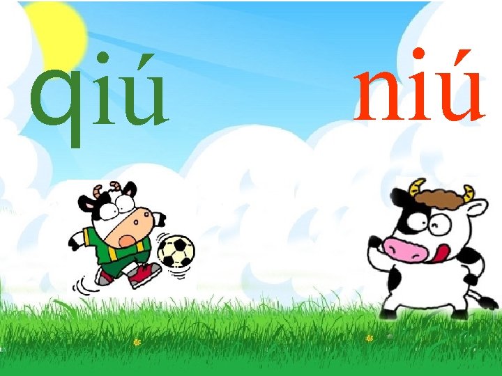 qiú niú 