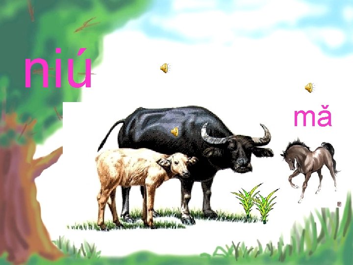 niú mǎ 