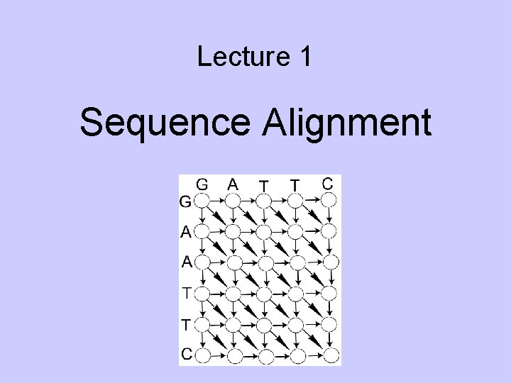 Lecture 1 Sequence Alignment 