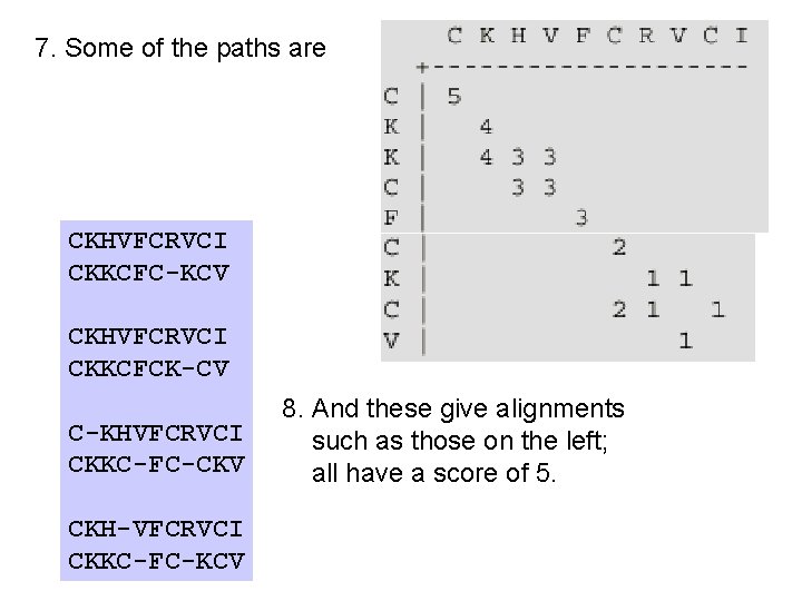 7. Some of the paths are CKHVFCRVCI CKKCFC-KCV CKHVFCRVCI CKKCFCK-CV C-KHVFCRVCI CKKC-FC-CKV CKH-VFCRVCI CKKC-FC-KCV