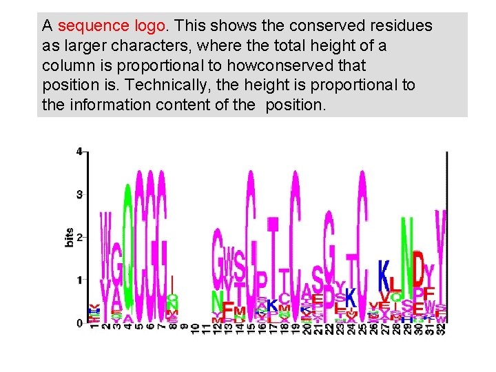 A sequence logo. This shows the conserved residues as larger characters, where the total