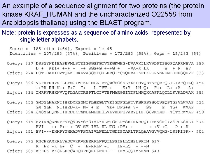 An example of a sequence alignment for two proteins (the protein kinase KRAF_HUMAN and