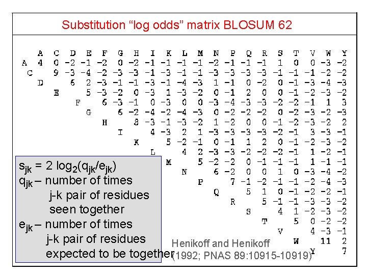 Substitution “log odds” matrix BLOSUM 62 sjk = 2 log 2(qjk/ejk) qjk – number