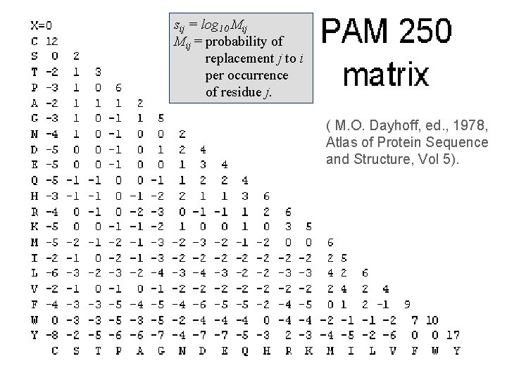 sij = log 10 Mij = probability of replacement j to i per occurrence