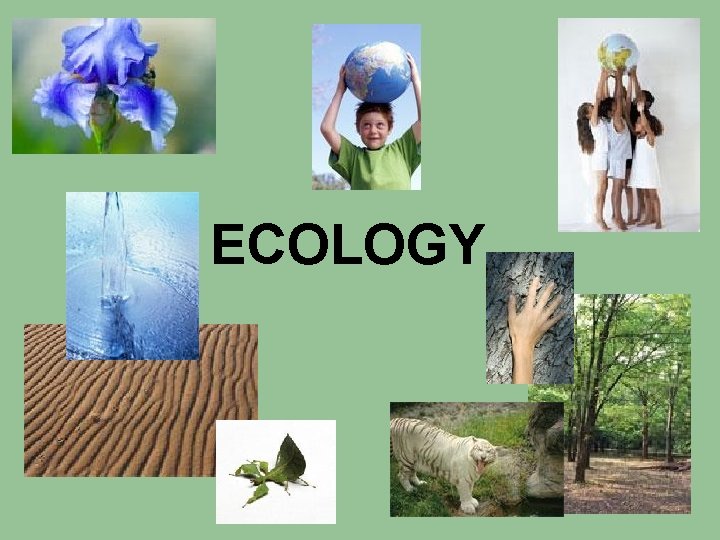 ECOLOGY 