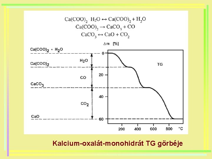 Kalcium-oxalát-monohidrát TG görbéje 